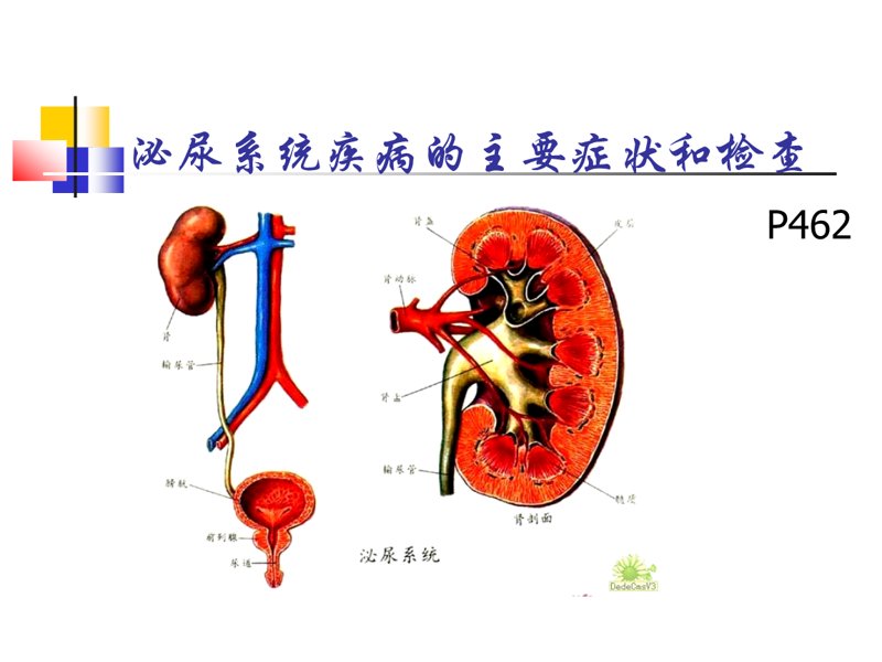 男科体检需要挂什么科室？这个问题在男性健康日益受到重视的今天，显得尤为重要。本文将通过步骤化教学的方式，帮助你明确男科体检所需挂的具体科室。