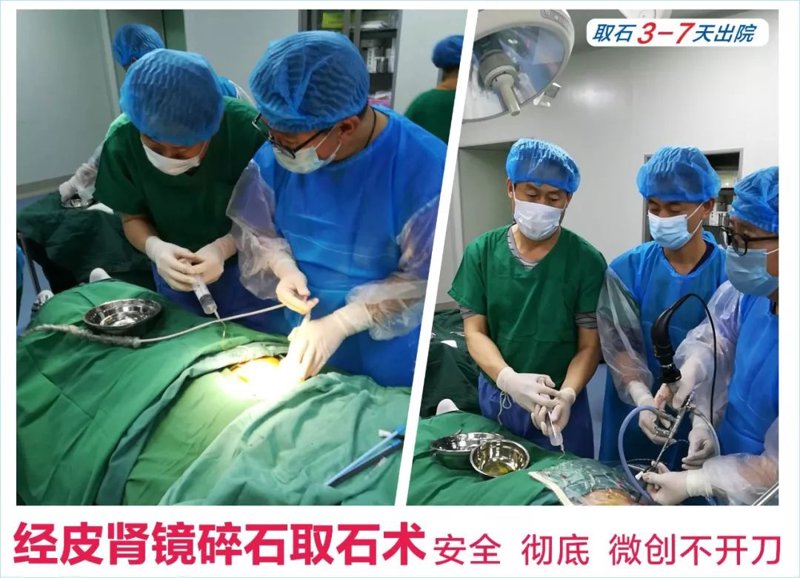 前列腺健康问题困扰着众多男性，进行男科体检时应该挂哪个科室呢？让我们一起看看不同科室的优势和劣势。