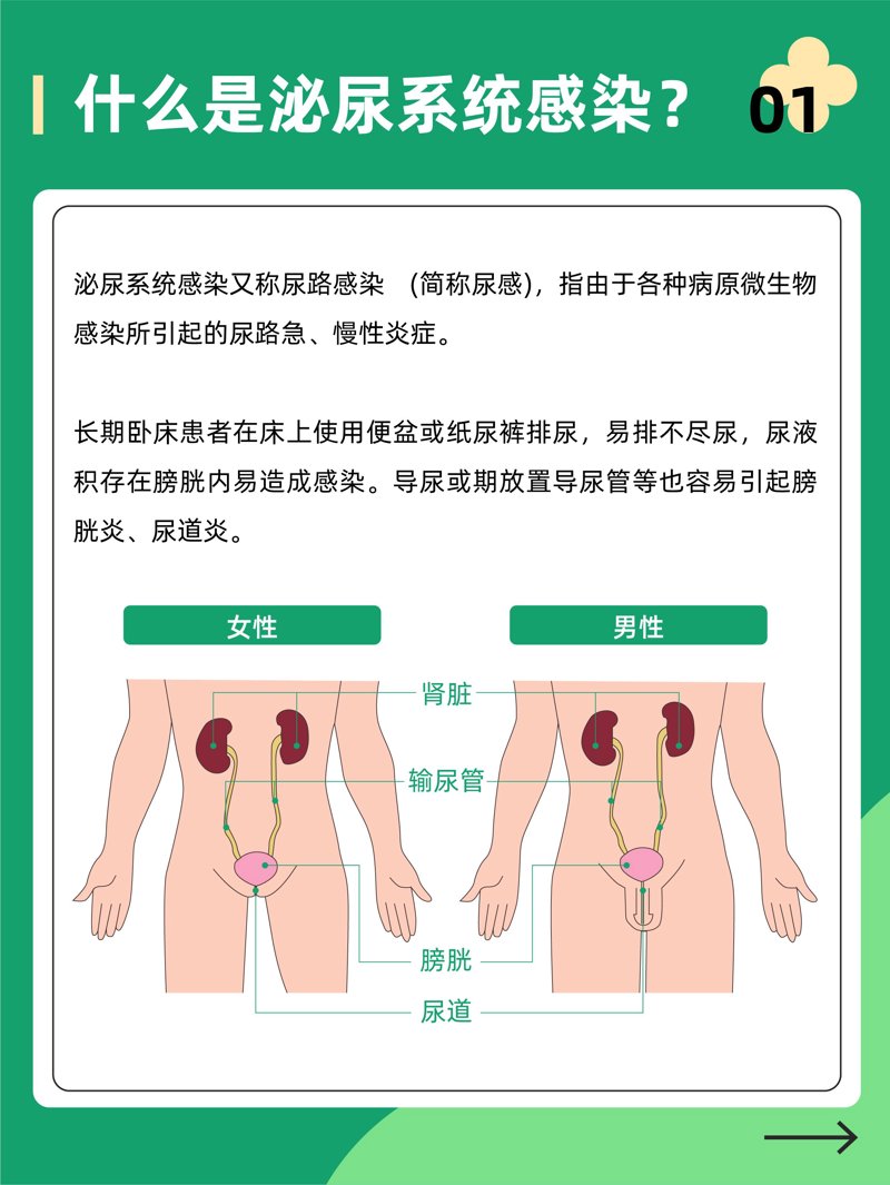 生殖感染：男性常见的健康问题
