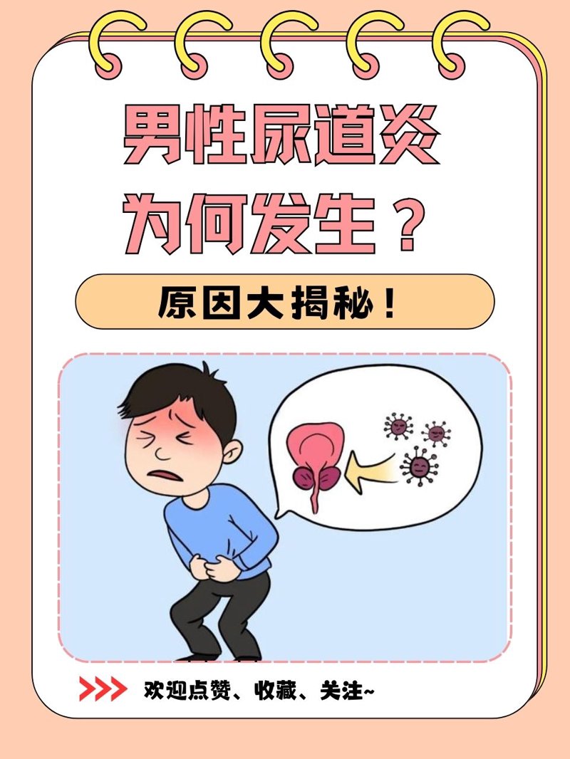 包皮过长是一种常见的男性生殖器问题,了解其真实情况对于男性健康非常重要。今天,我们将通过一系列图片和详细解说,帮助您更好地认识包皮过长。
